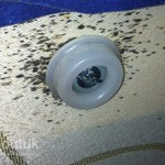 Bed Bug Removal in Blackpool